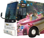 the Disneyland Resort Express