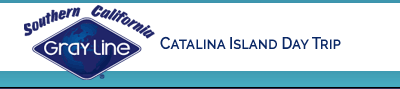 Catalina Island Day Trip