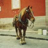 Wanna Ride?