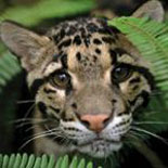 San Diego Zoo