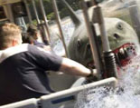 Encounter Hollywoods Famous Great White