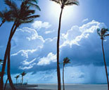 Beautiful Miami Beach