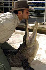 Gatorland
