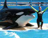 Miami Seaquarium