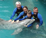 Touch the Dolphins