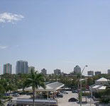 Coconut Grove Skyline