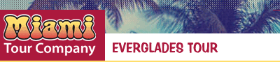 Everglades Tour