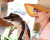 Everglades Tour