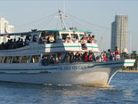 Cruisin in the Biscayne Bay