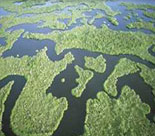 Skyview of the Everglades