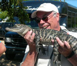 Do you dare to hold a gator?