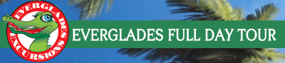 Everglades Full Day Tour