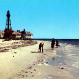 The Sanibel Stoop