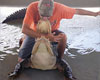 Everglades 1/2 day Tour