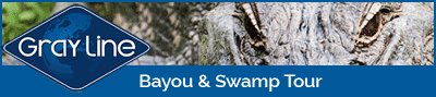 Bayou and Swamp Tour