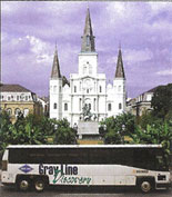 See New Orleans in Comfort