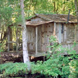 The Finest in Southern Louisiana Swamp Cabins