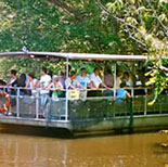 Climb Aboard a Swamp Boat for a Cajun Style Tour