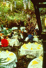Courtyard Dining