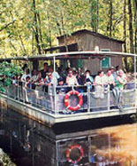 Swamp & Bayou Tour