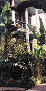 Garden District Walking Tour