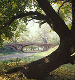 Central Park