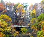 Fall at It's Best