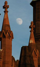 Harlem Architecture