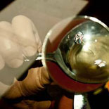 The World's Bizarre at Your Fingertips