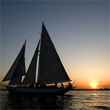 City Lights Sail