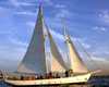 Statue Sail aboard the Shearwater Classic Schooner