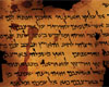 Dead Sea Scrolls -  Life and Faith in Biblical Times