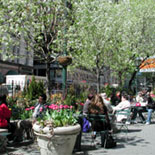 Herald Square