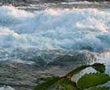 Niagara River & Rapids