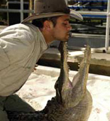 Gatorland