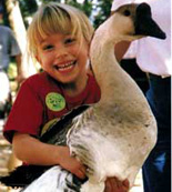 Green Meadows Petting Farm