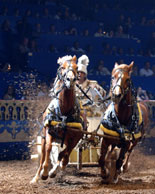 Chariot Race