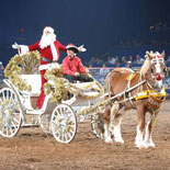 The Arabian Nights Holiday Show