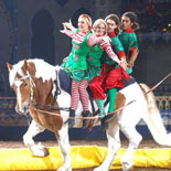 The Arabian Nights Holiday Show