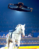 Incredible Stunts 