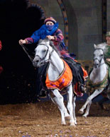 A Celebration of Horses & Riders