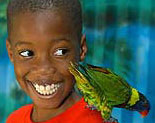Very Merry Aviary