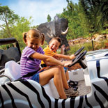 Safari Ride
