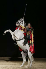 The Performing Horses