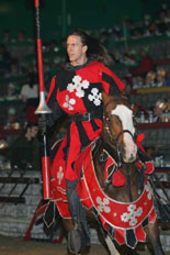 The Champion Knight