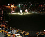 the Arena