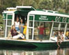 Silver Springs Nature Theme
                                                Park