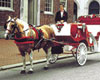 Philadelphia 30 Minute Carriage Tour