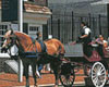 Philadelphia 20 Minute Carriage Tour