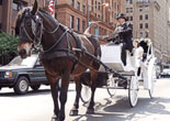 Streets of Philadelphia